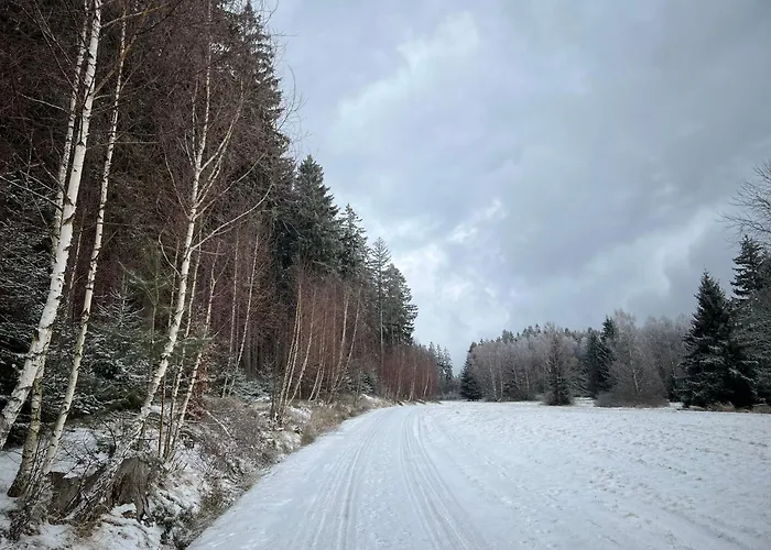 Lägenhet Lesni Raj